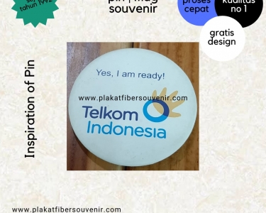 Pin