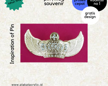 Pin